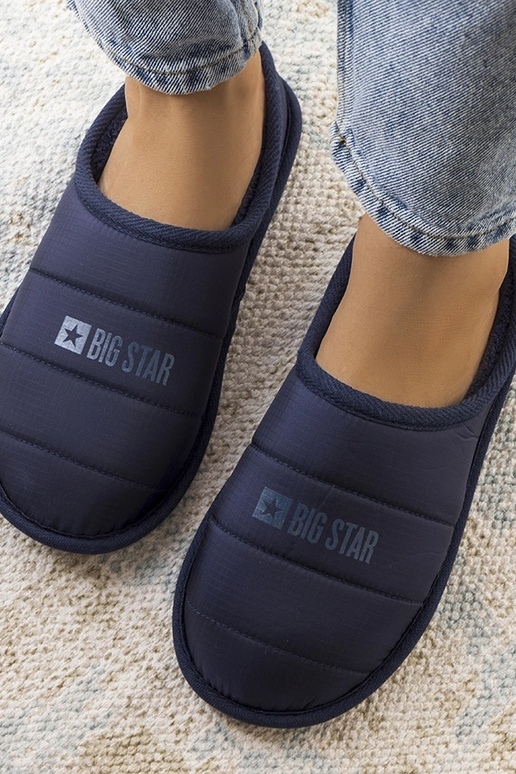 Pantofole da donna blu navy isolate...