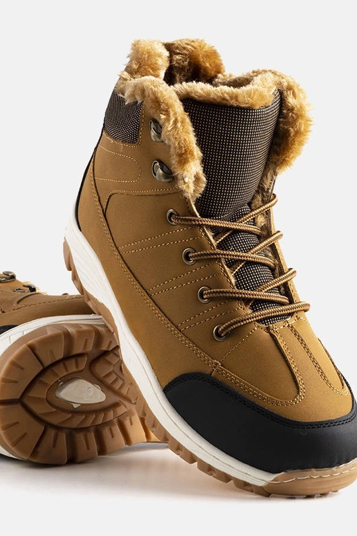 Stivali Violette marroni isolati Stivali Violette marroni isolati