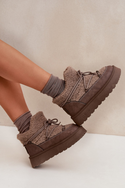 Stivali da neve Femminile con una piattaforma con una pelliccia Typu Baranek Big Star SS274112 colore marrone