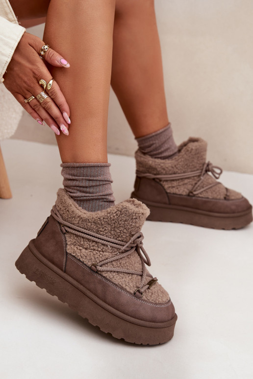 Stivali da neve Femminile con una piattaforma con una pelliccia Typu Baranek Big Star SS274112 colore marrone