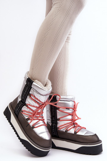 Stivali da neve Femminile Su una suola spessa Vegano D.Franklin DFSH371006 color argento 2