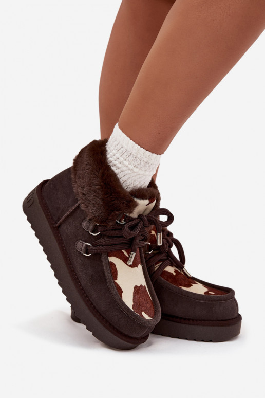 Stivali da neve FemminileAbilitatoturalnego dalla pelle scamosciatau Łaty D.Franklin DFSH375008 CzekoladoAe