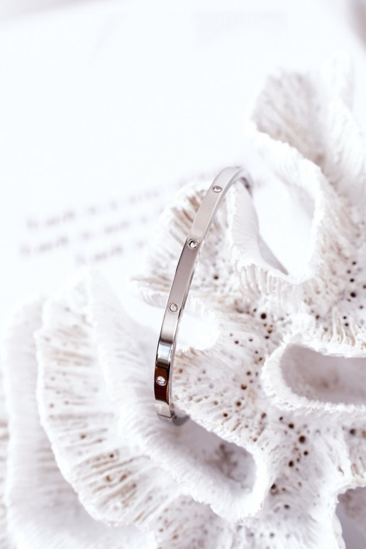 Bracciale in acciaio con gli occhi scintillanti color argento