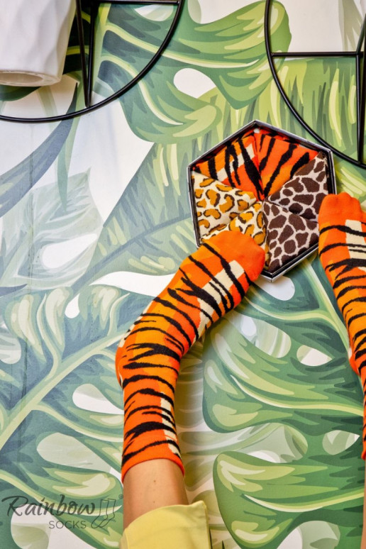 Calzini colorati in una scatola con motivi di animali selvatici, 3 paia